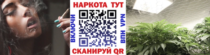 Где продают наркотики Орлов мега как зайти  СК  Гашиш  Меф мяу мяу  Каннабис  ГЕРОИН  ЭКСТАЗИ 