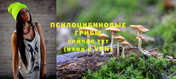 ГАЛЛЮЦИНОГЕННЫЕ ГРИБЫ Армянск