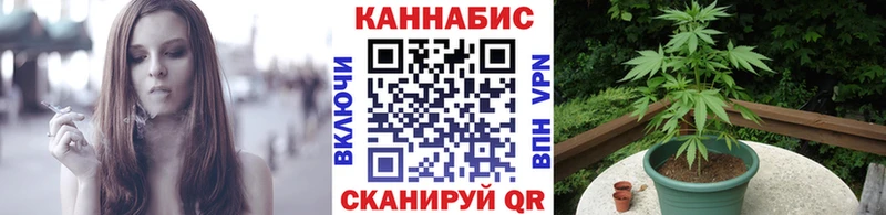 магазин продажи наркотиков  Орлов  Каннабис MAZAR 